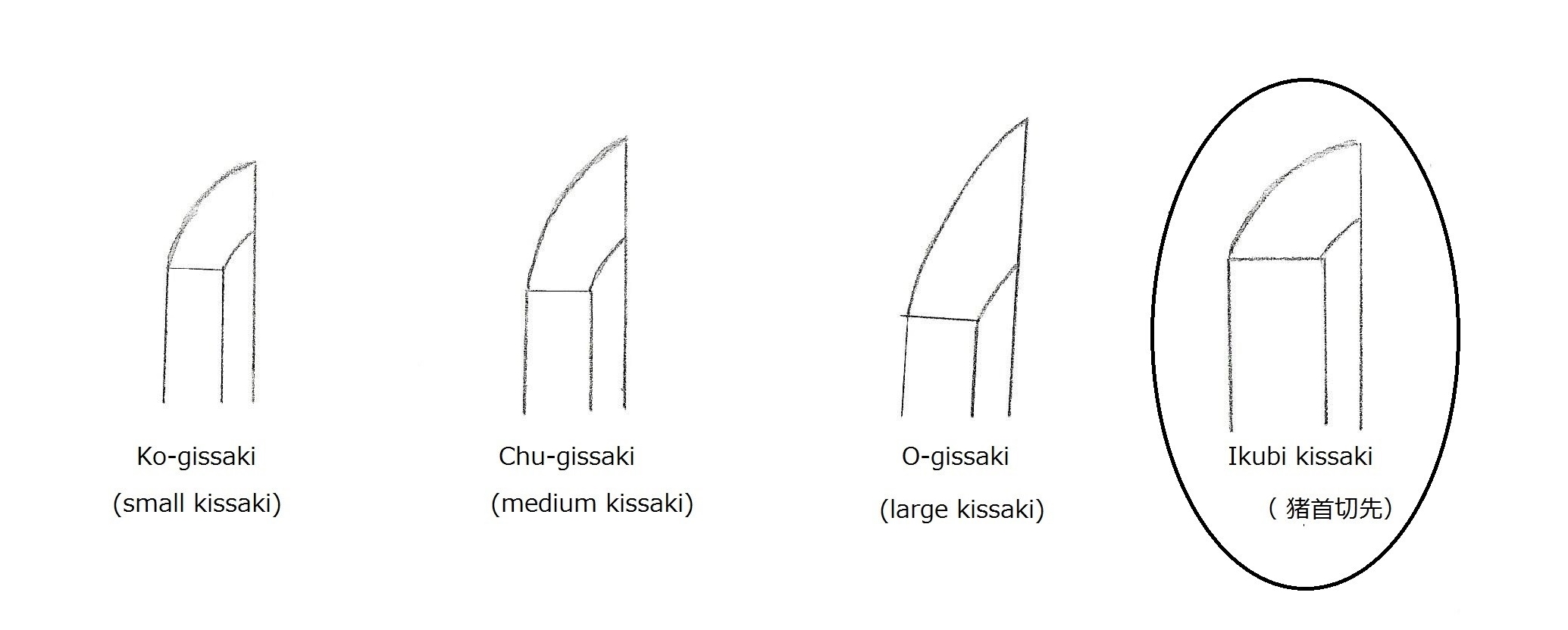 12 Ikubi Kissak drawing