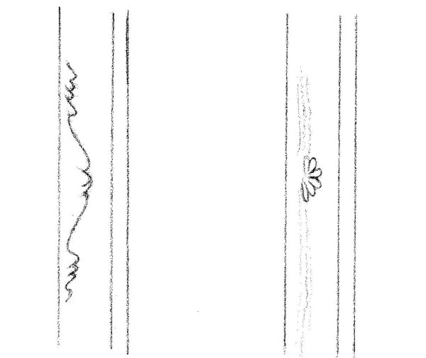 63 fuji sakura hamon